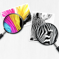 Inkoustová náplň HP 903, černá (T6L99AE)