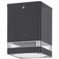 Venkovní stropní přisazené svítidlo Rabalux 7818 Zombor, 1x max. 35 W GU10, IP54, antracitová