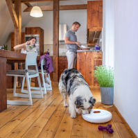 Dávkovač krmiva Tesla Smart Pet Feeder Spin, BT, pro kočky a malá plemena psů