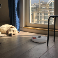 Dávkovač krmiva Tesla Smart Pet Feeder Spin, BT, pro kočky a malá plemena psů